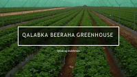 QALABKA GREENHOUSE KA 2021.pdf